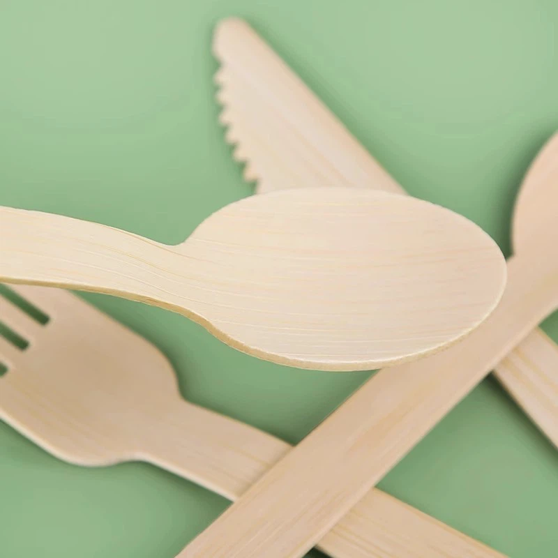 biodegradable disposable spoons